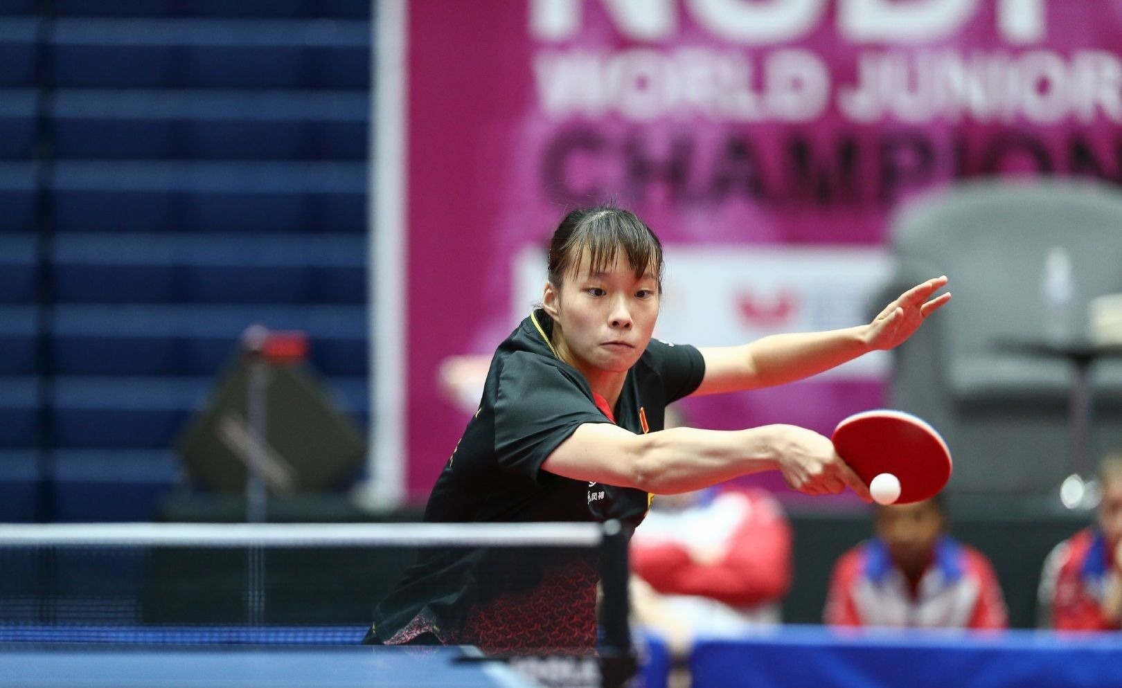 顶尖水平 顶尖水平