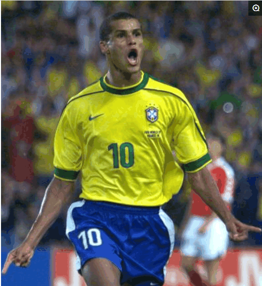 他们展示了 他们展示了